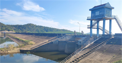 Bình Thuận cắt giảm một số diện tích lúa do thiếu nước tưới